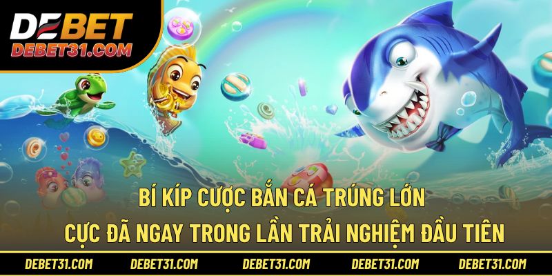Bí kíp cược bắn cá trúng lớn cực đã ngay trong lần trải nghiệm đầu tiên